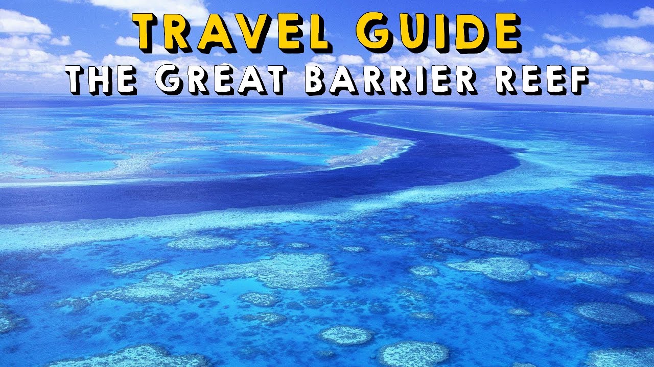 The Great Barrier Reef: Complete Travel Guide | Things to do The Great Barrier Reef 2023