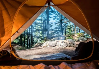 Into the Wild: Eco-Adventure Tours for Nature Enthusiasts