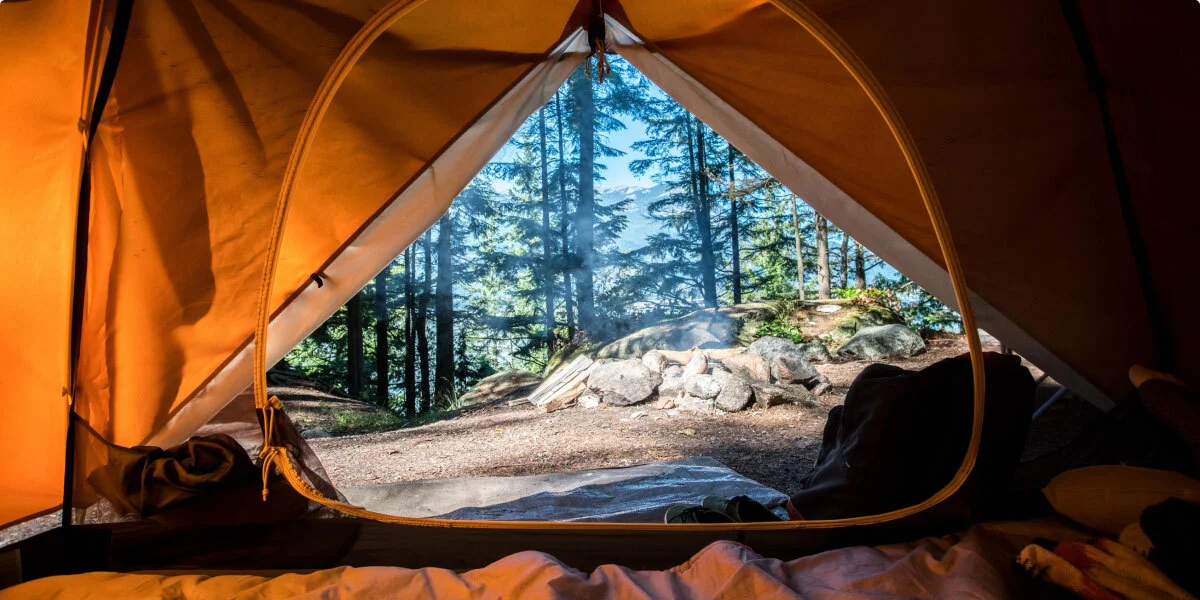 Into the Wild: Eco-Adventure Tours for Nature Enthusiasts Into the Wild: Eco-Adventure Tours for Nature Enthusiasts