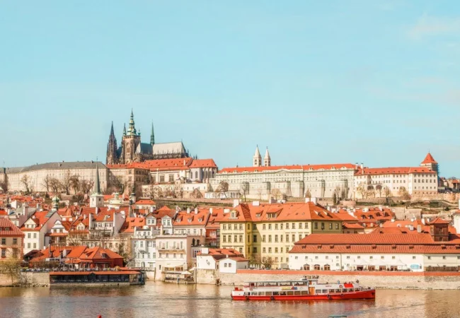 Digital Visa For Adults With Admirer And Insurance