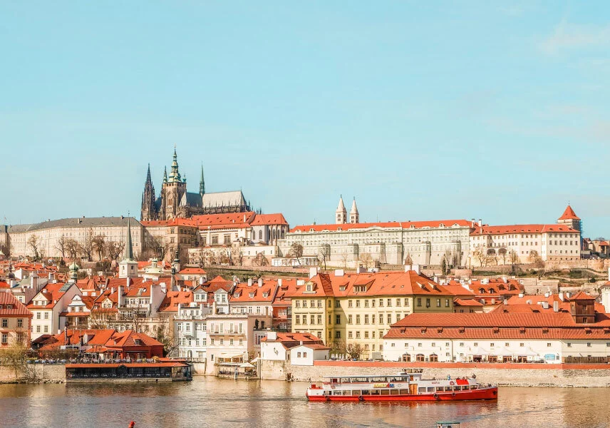 Digital Visa For Adults With Admirer And Insurance