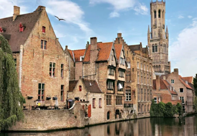 E-Visa For Grown-Ups With Devotee And Assurance